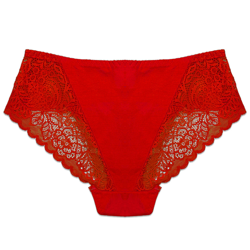 Pack of 3 Briefs Panties - Lace Desire