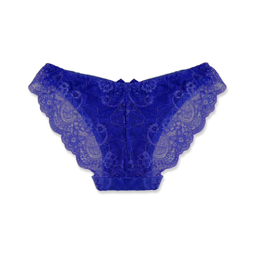 Hipster Panty - Lace Reverie