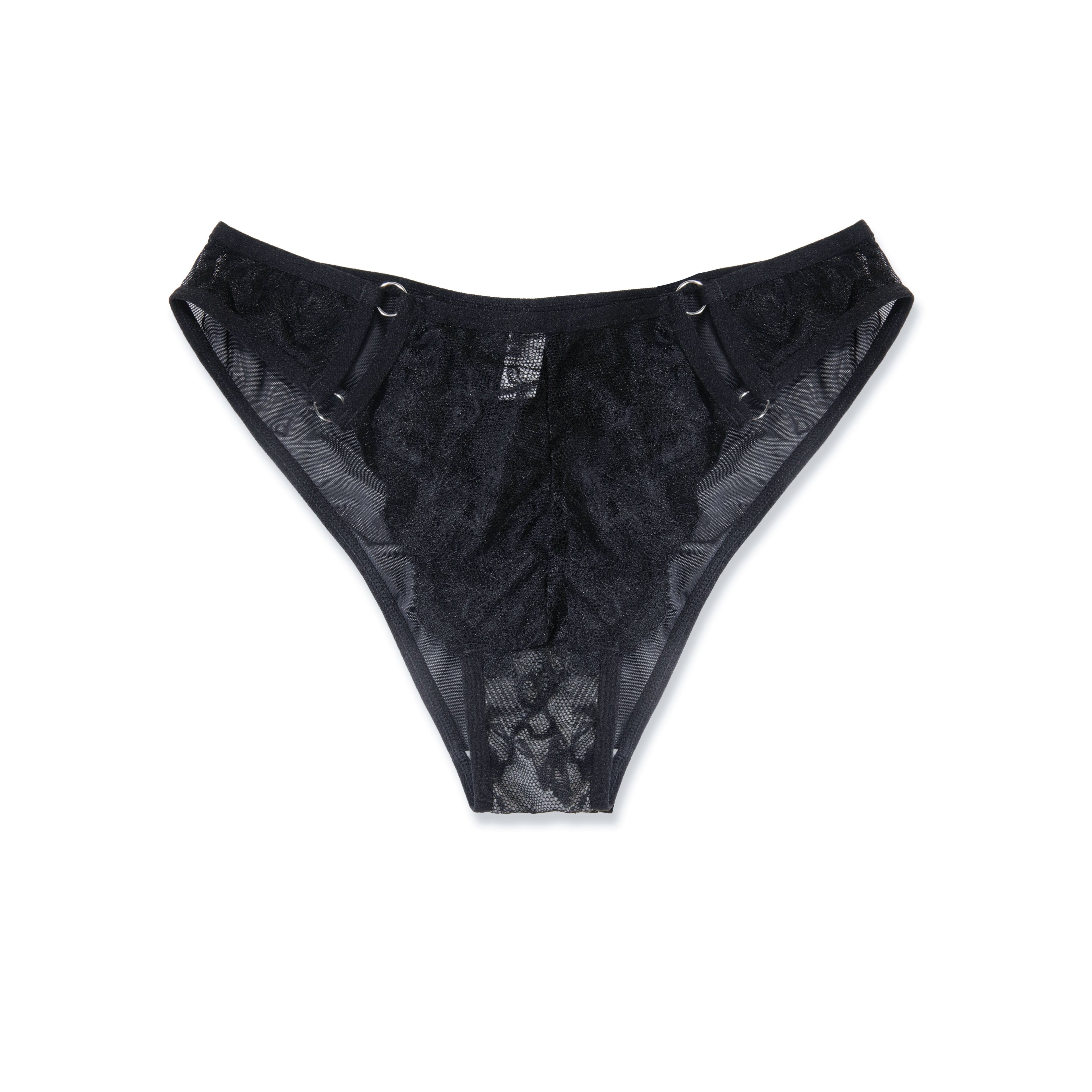 Hipster Panty - Lace Harness