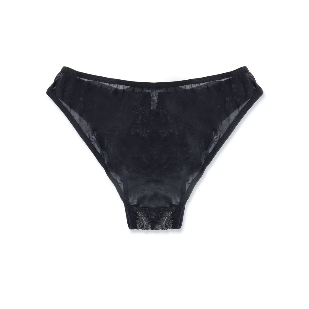 Hipster Panty - Lace Harness