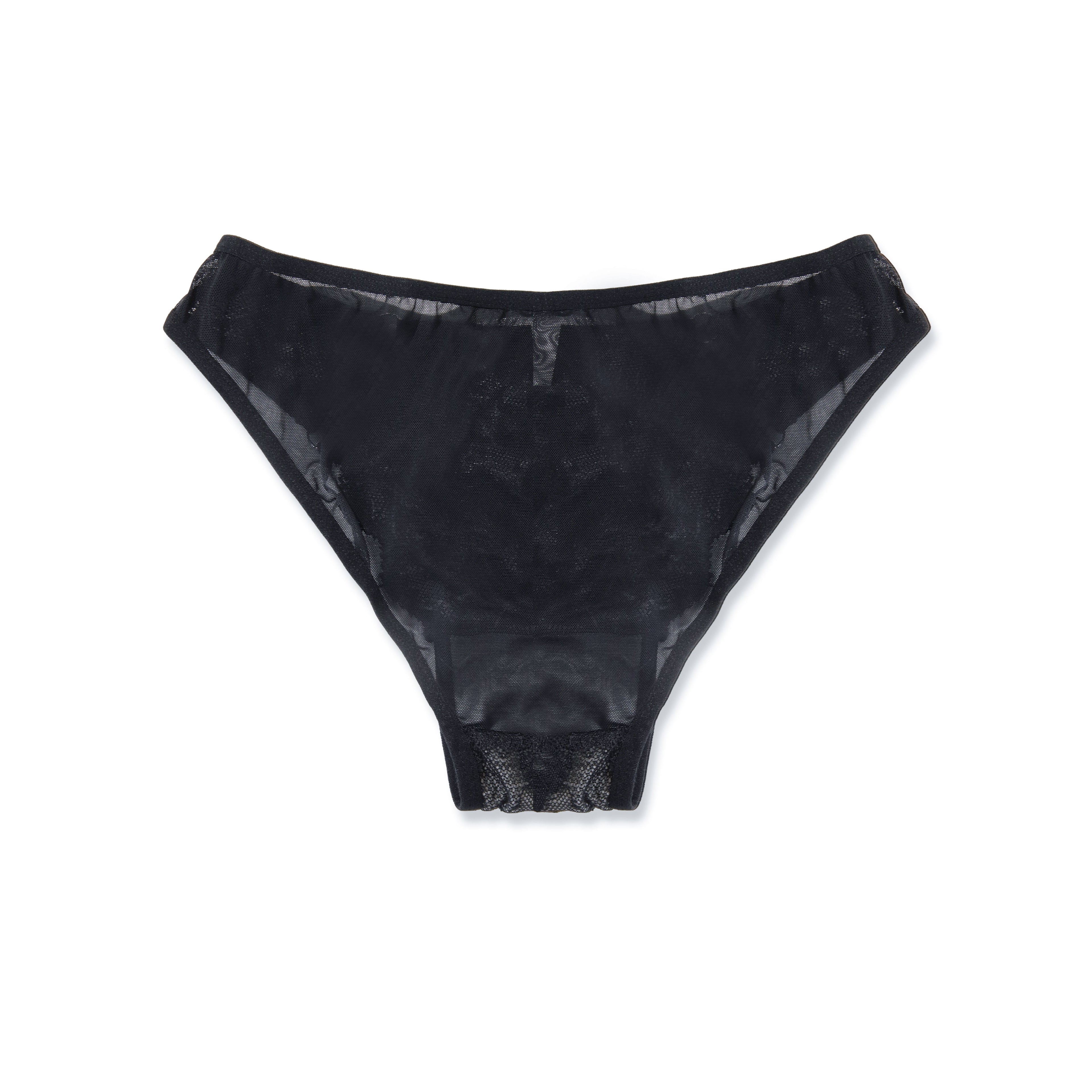 Hipster Panty - Lace Harness