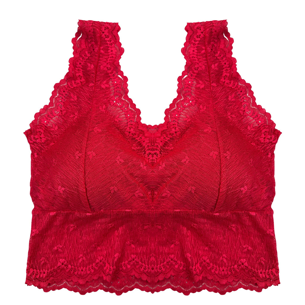 Pack of 3 Bra - Lace Blush