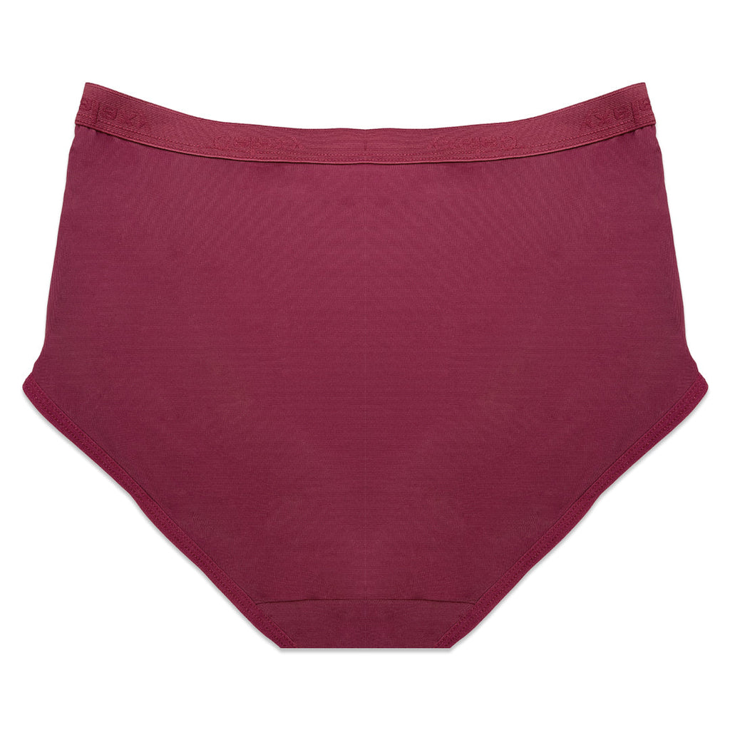 Pack of 3 Briefs Panties - Comfort Cotton