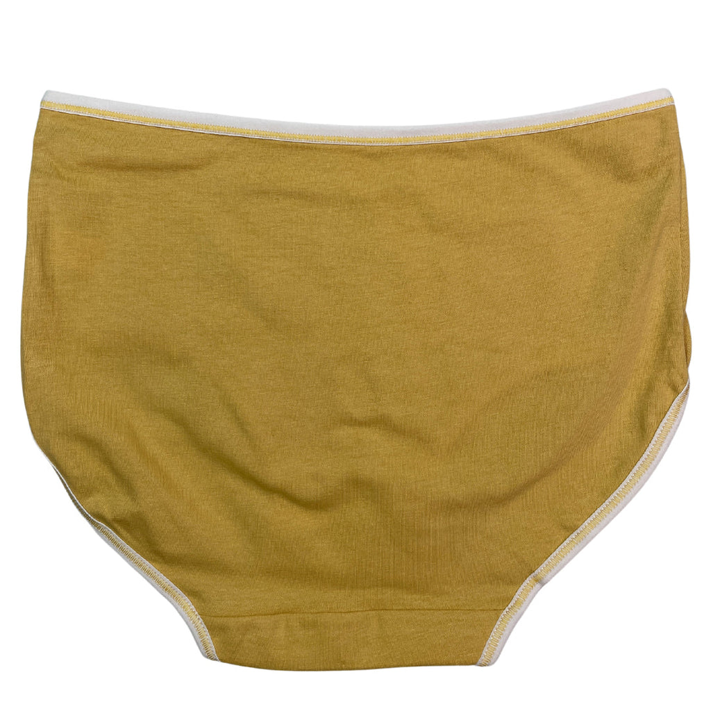 Pack of 3 Briefs Panties - Classic Cotton