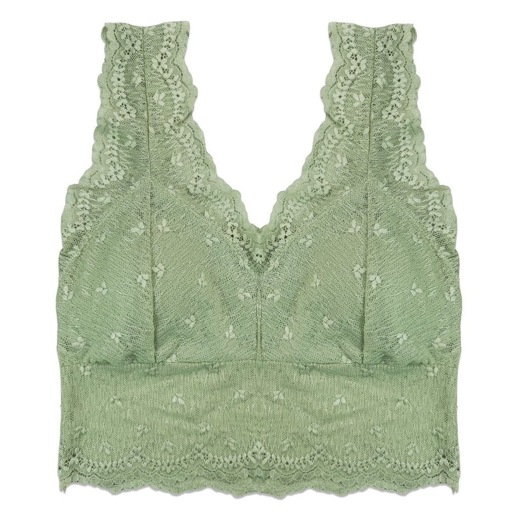 Pack of 3 Bra - Lace Blush