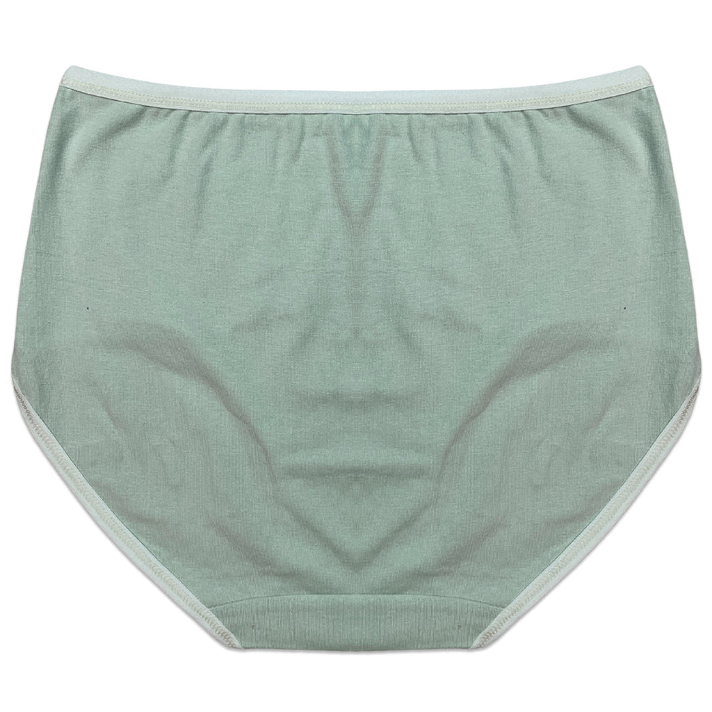 Pack of 3 Briefs Panties - Classic Cotton