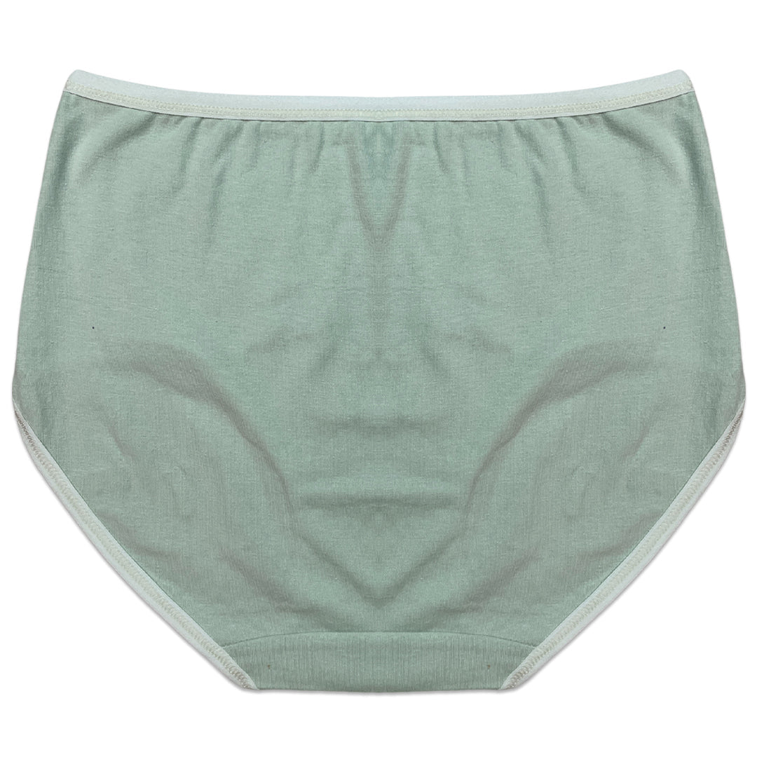 Pack of 3 Briefs Panties - Classic Cotton