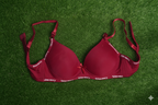 Daily Wear Bra - Comfortable Padded